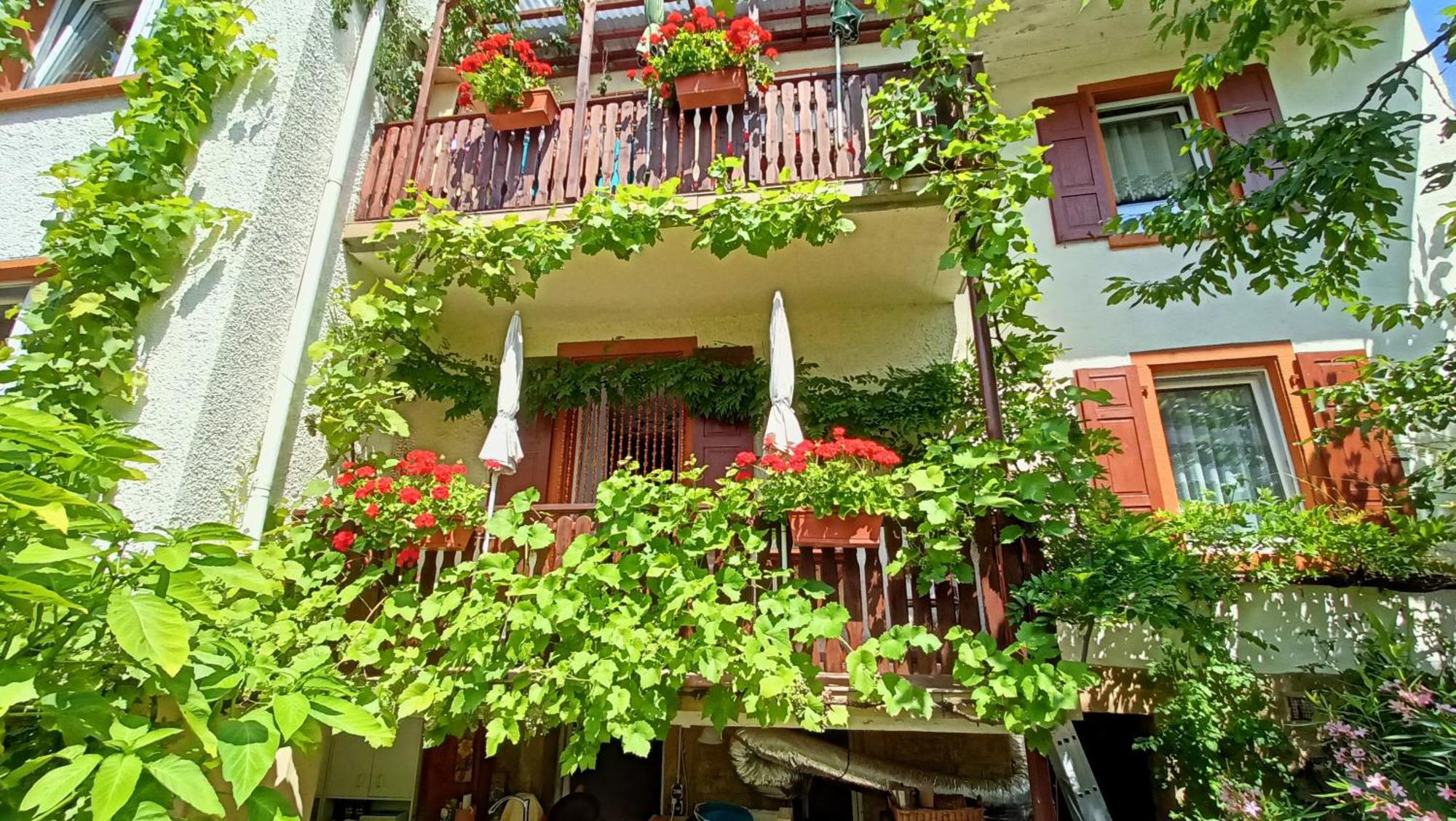 Urlaub Mit Charme In Der Kleinsten Stadt Der Pfalz. Obermoschel ภายนอก รูปภาพ