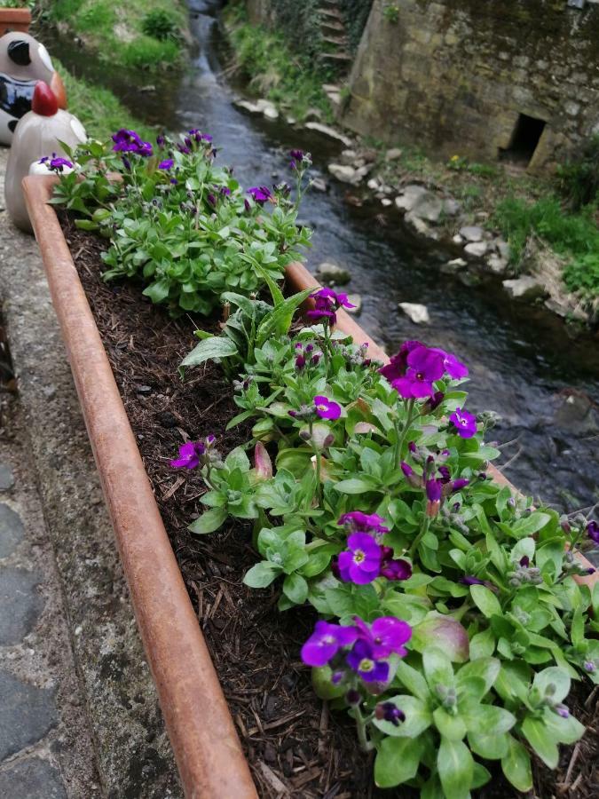 Urlaub Mit Charme In Der Kleinsten Stadt Der Pfalz. Obermoschel ภายนอก รูปภาพ